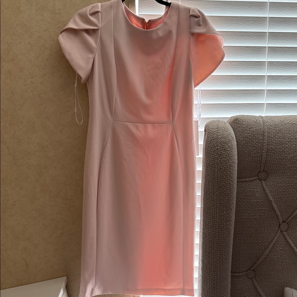 Elegant Pink Dress